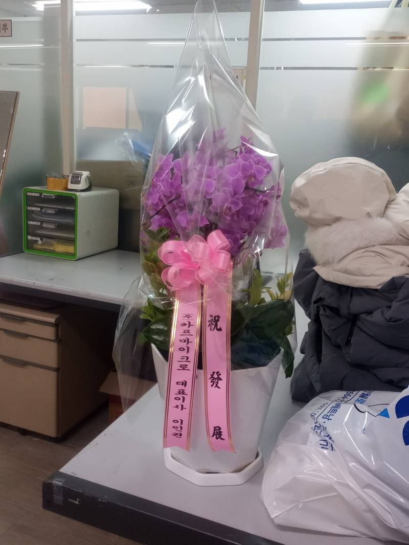 업로드 이미지