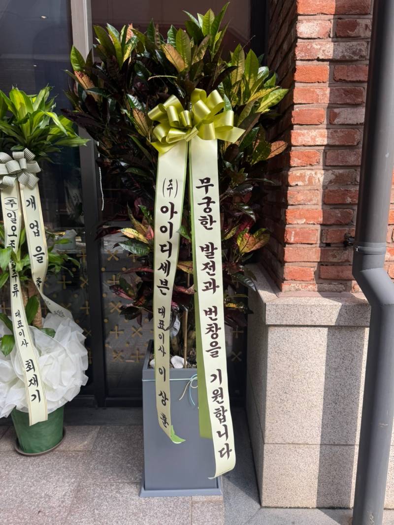 업로드 이미지