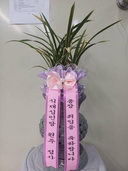 배송사진