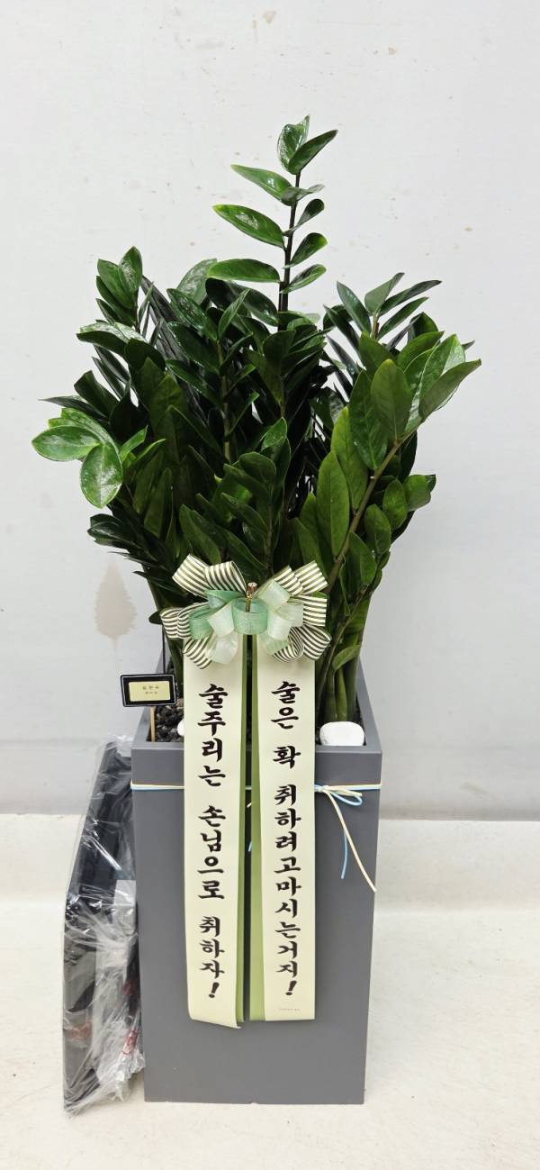 배송사진