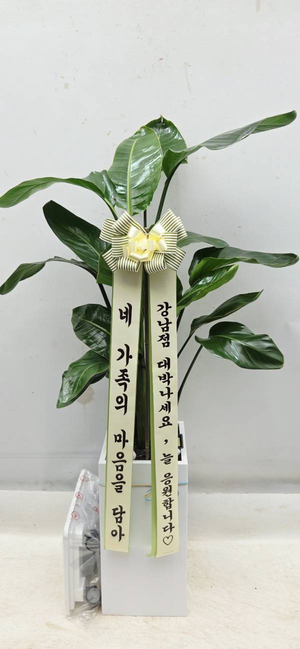 배송사진