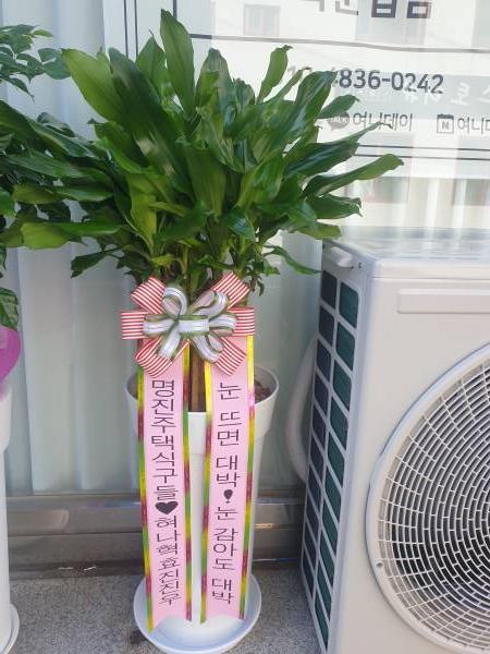 배송사진