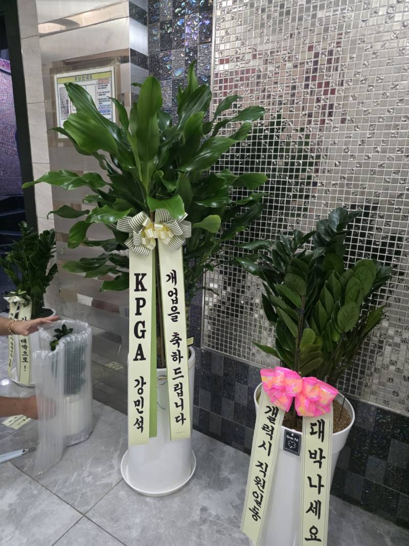 업로드 이미지