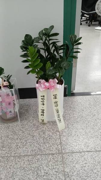 배송사진