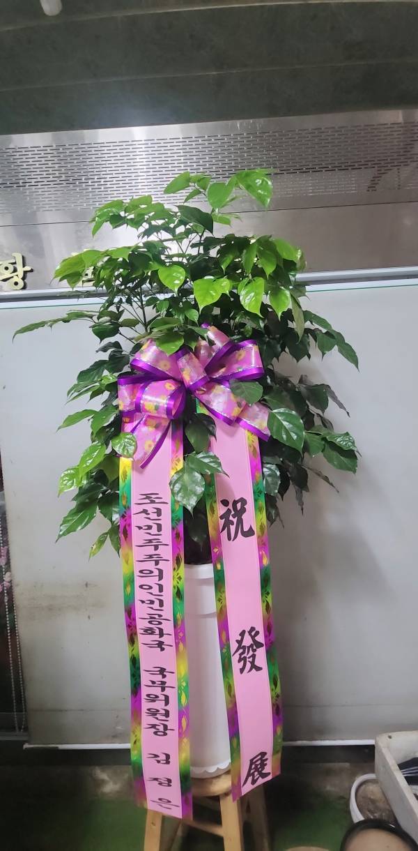 배송사진