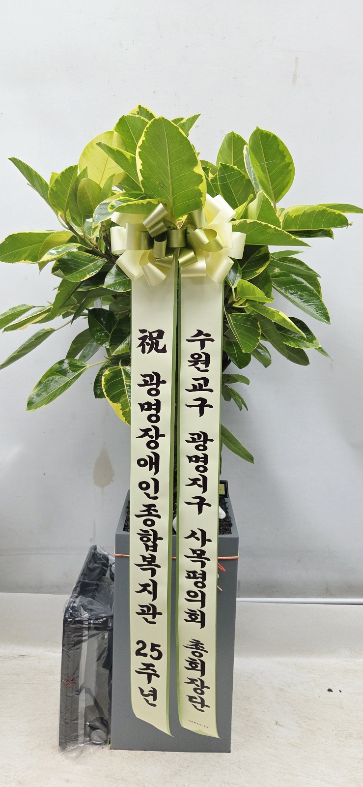 업로드 이미지