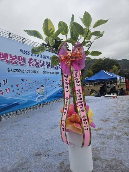 배송사진