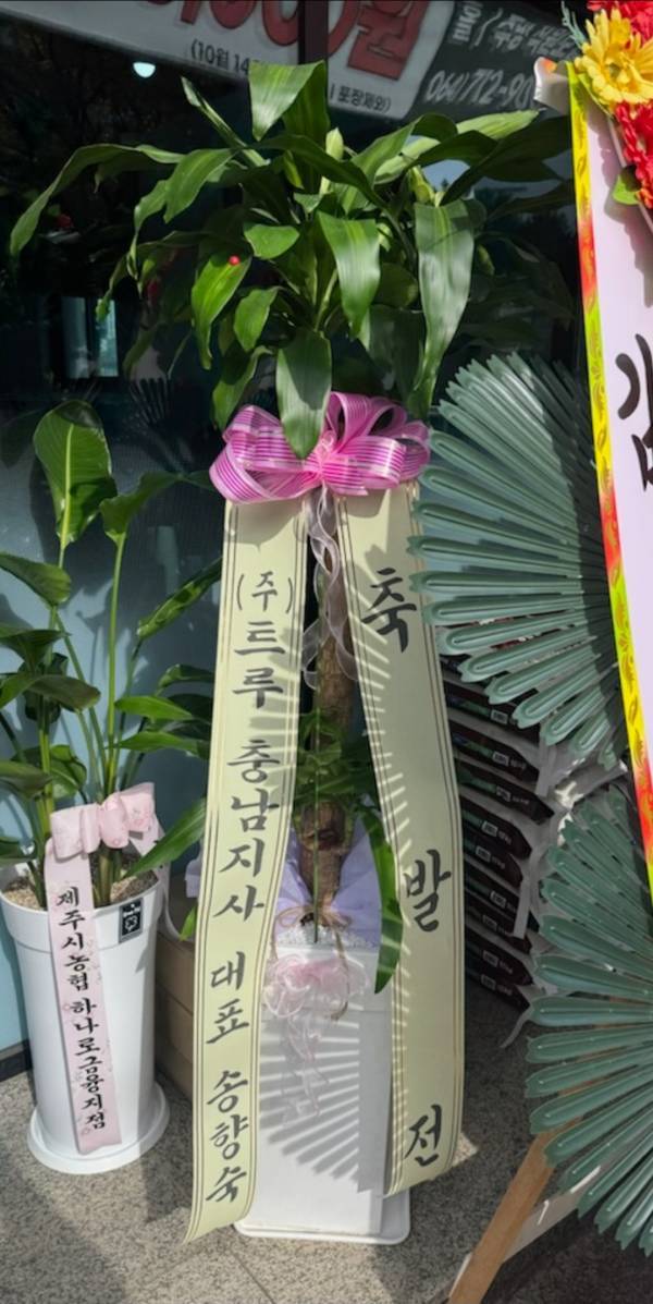 배송사진