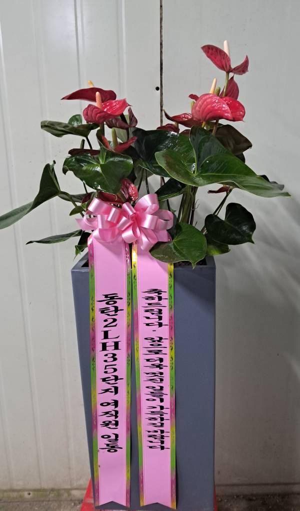 배송사진