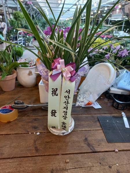 배송사진