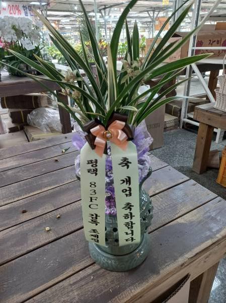 배송사진