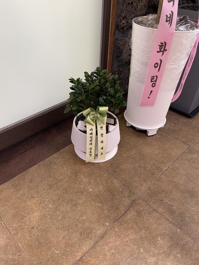 업로드 이미지