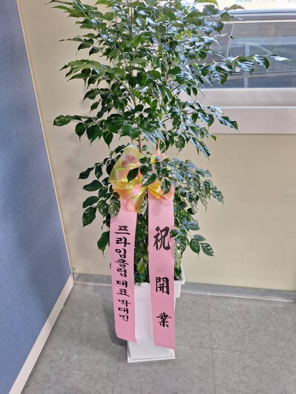 배송사진