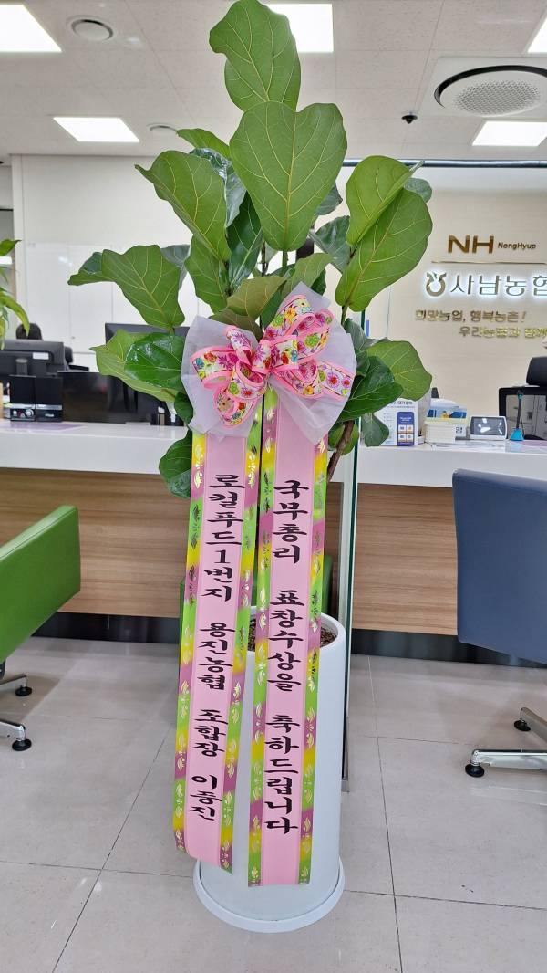 배송사진