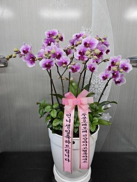 배송사진