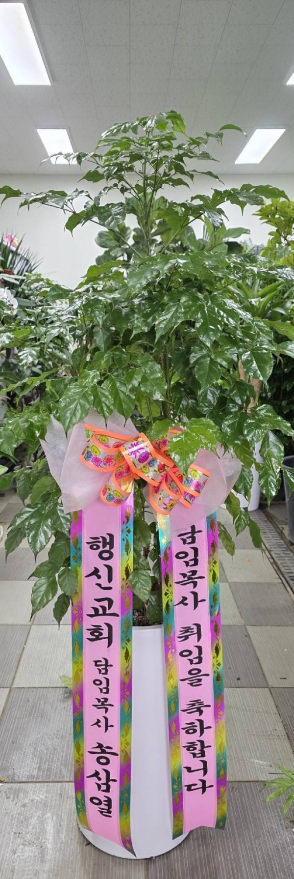 배송사진