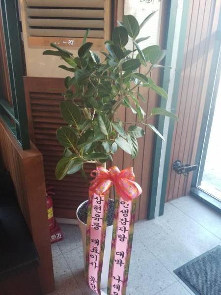 배송사진