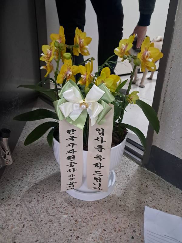 배송사진