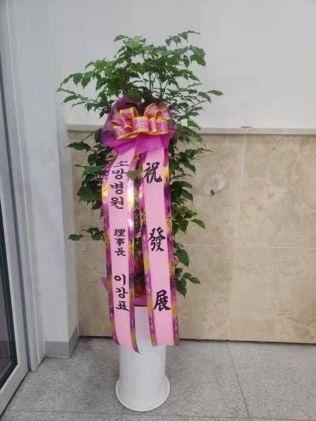 배송사진