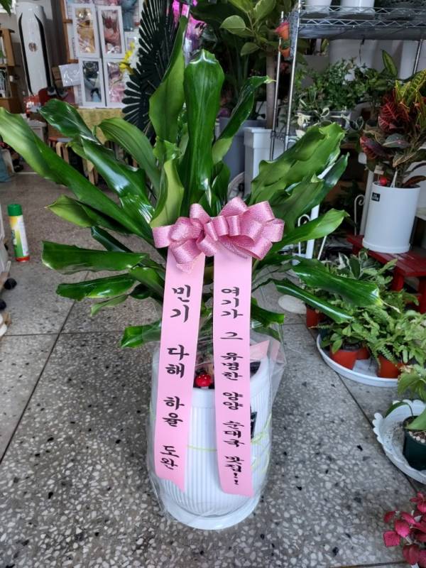 배송사진