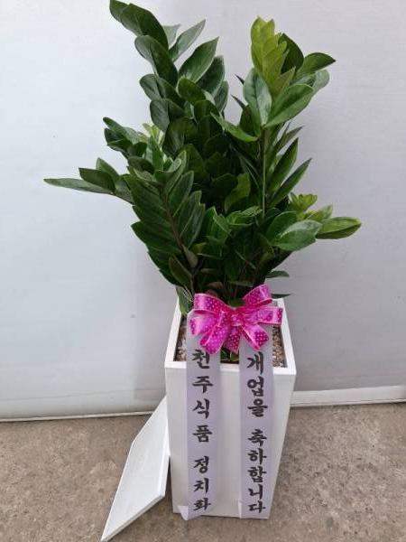 배송사진