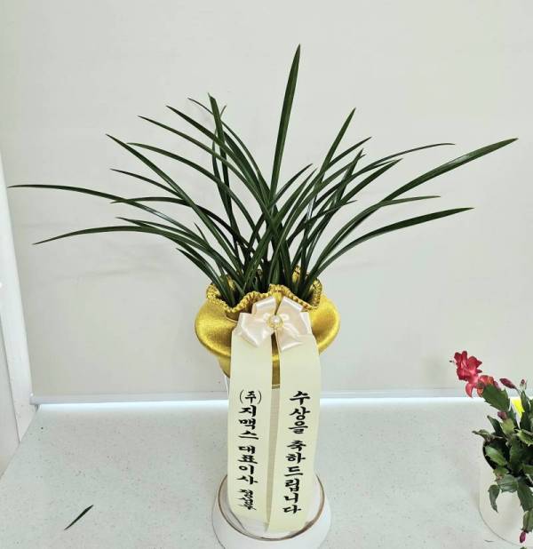 배송사진