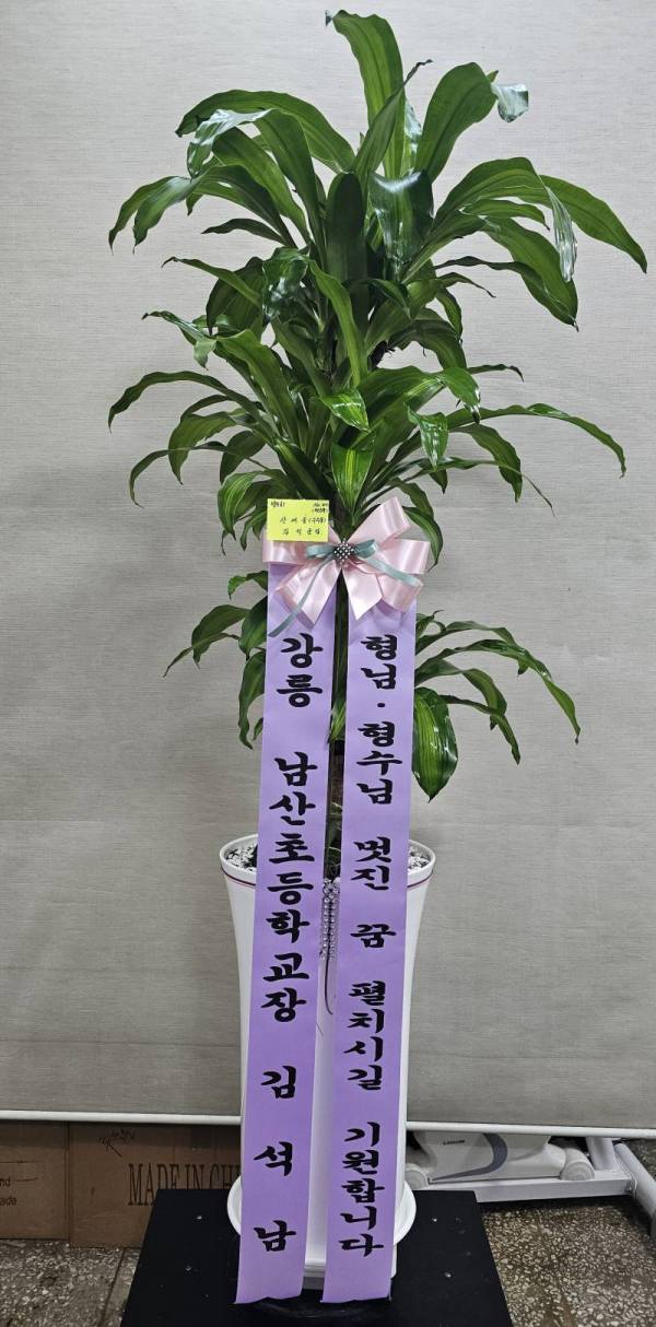 배송사진
