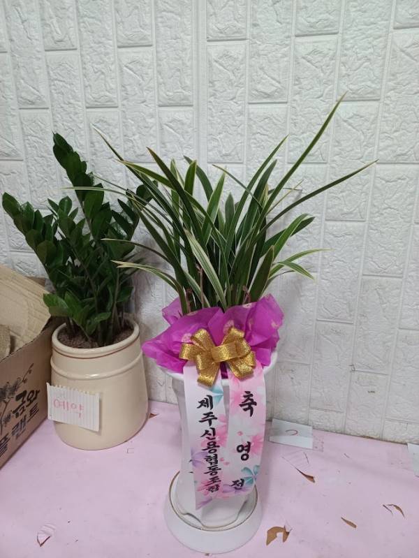 배송사진