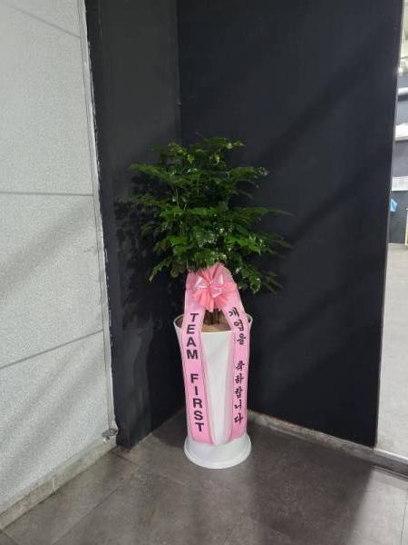 배송사진