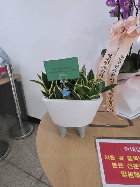 배송사진