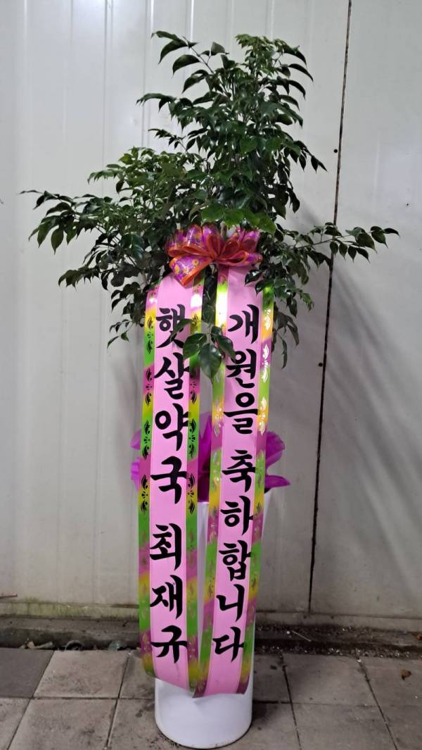 배송사진