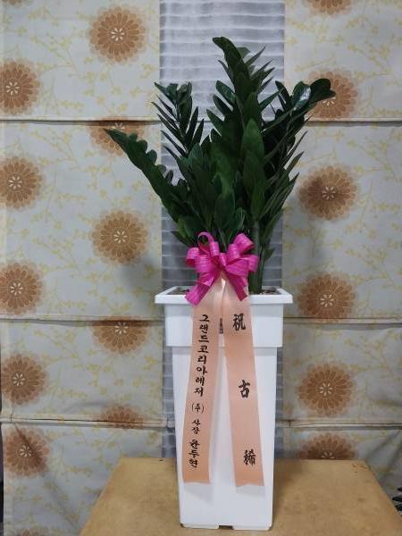배송사진