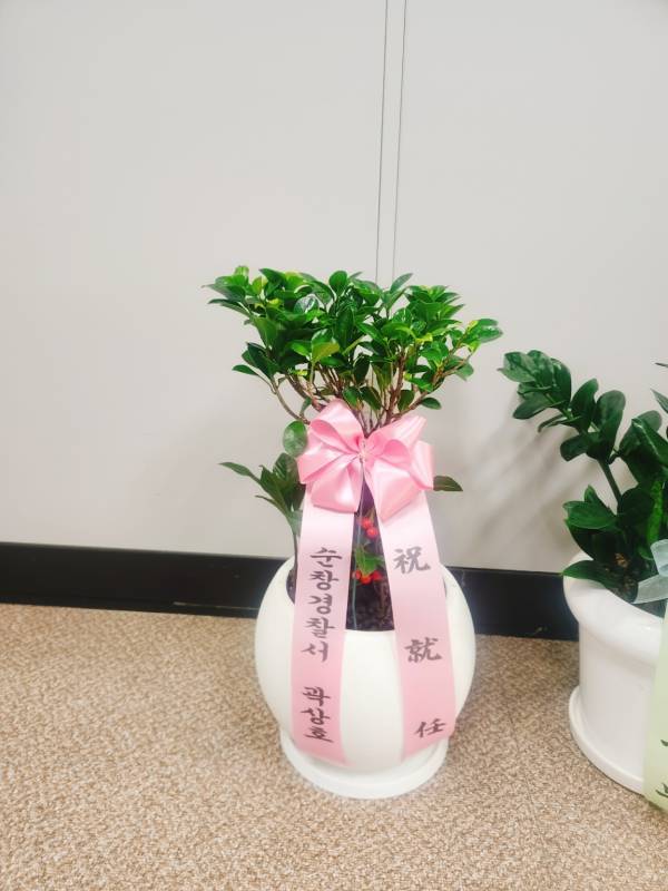 배송사진