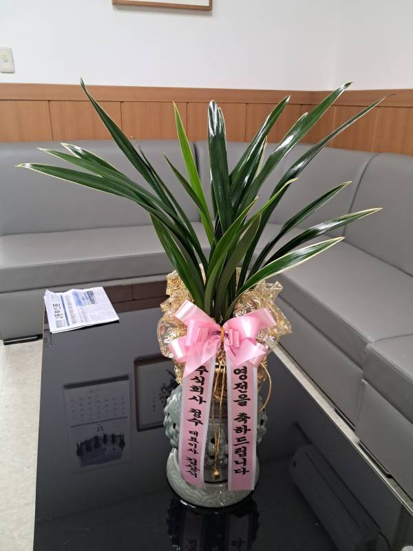 배송사진