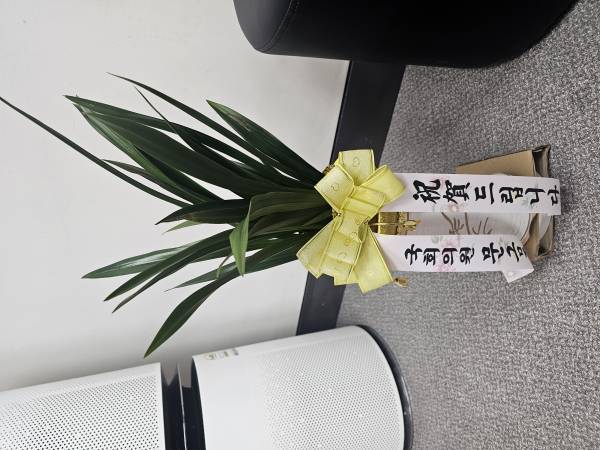 배송사진
