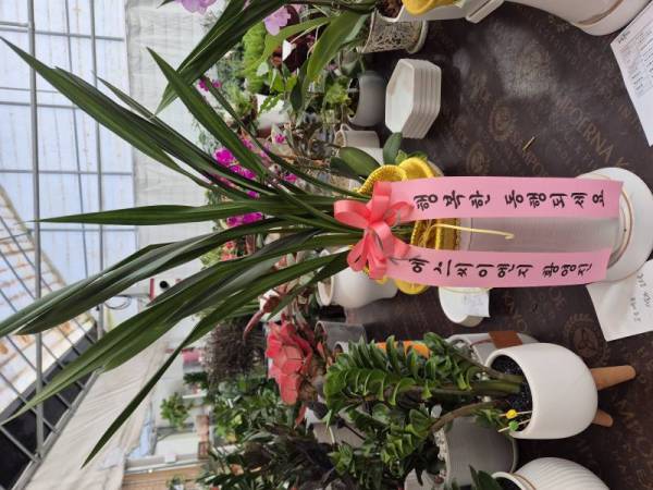 배송사진