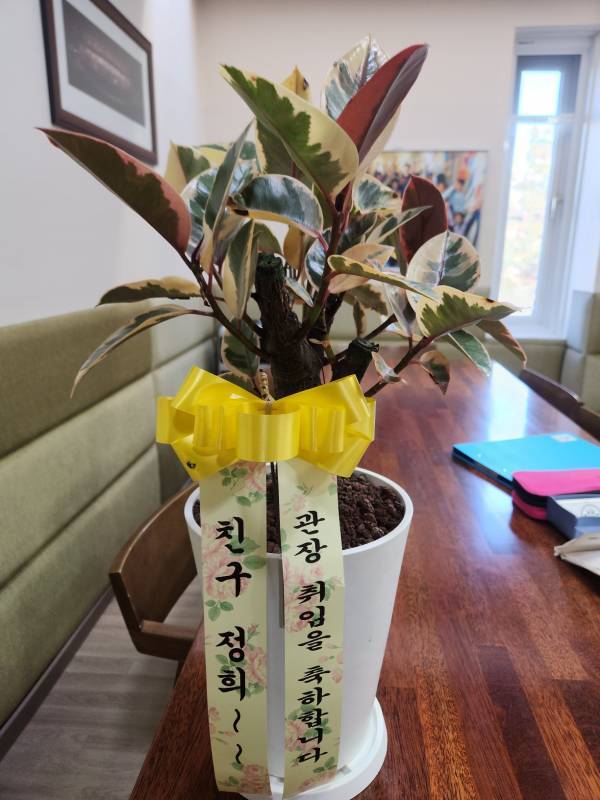 배송사진