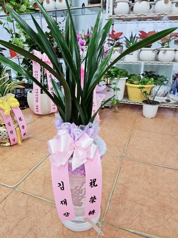 배송사진
