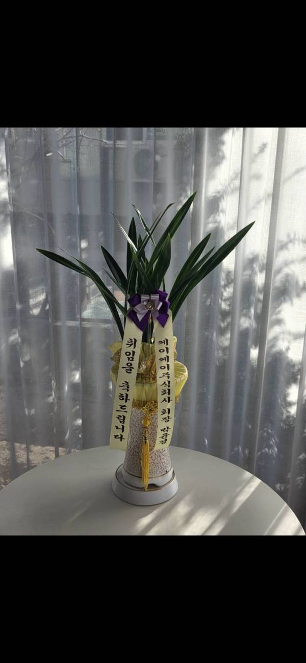 배송사진