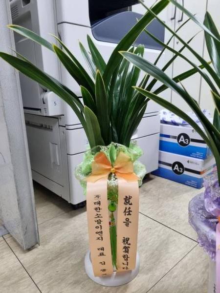 배송사진