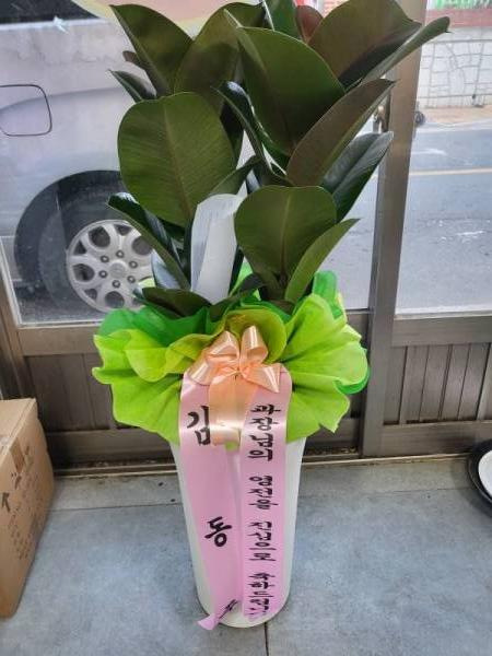 배송사진