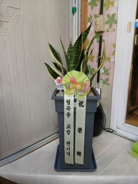 배송사진