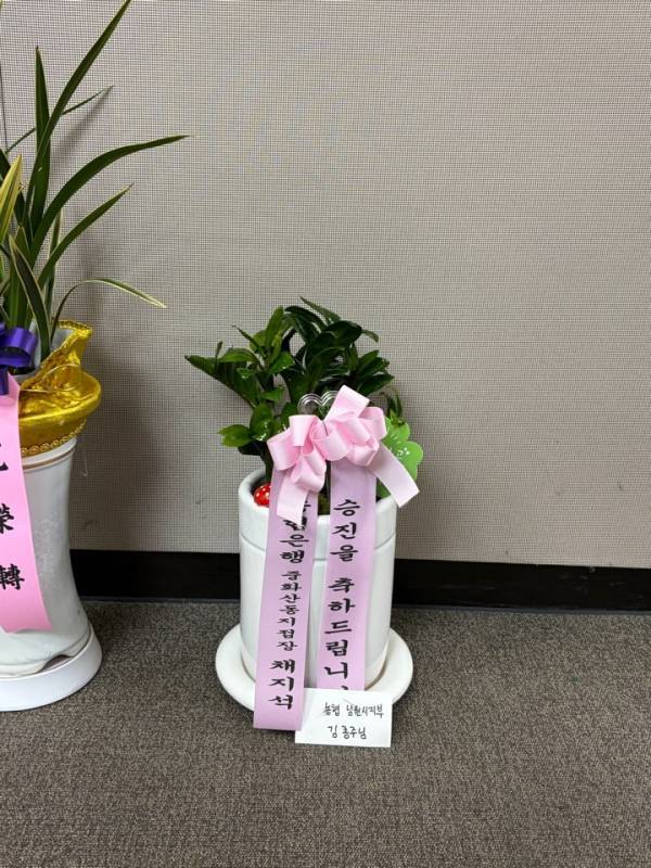배송사진