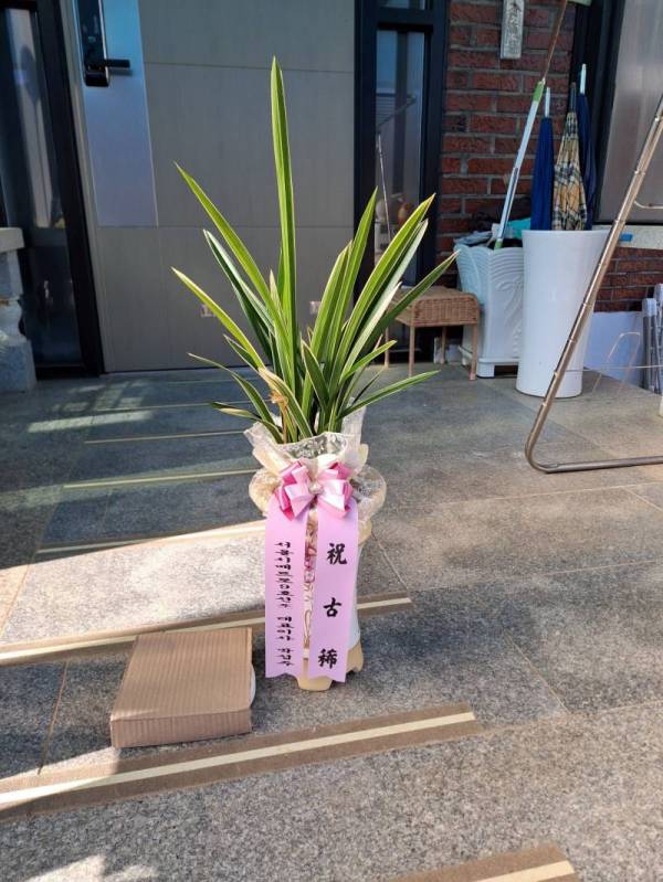 배송사진