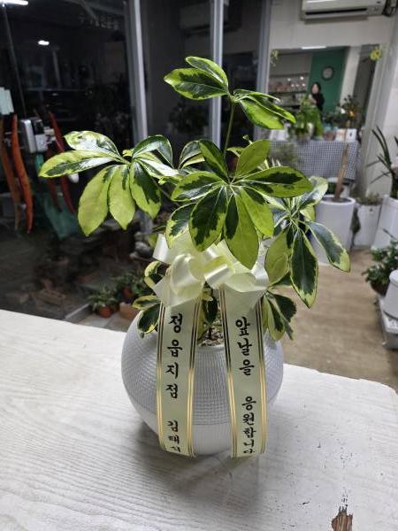 배송사진