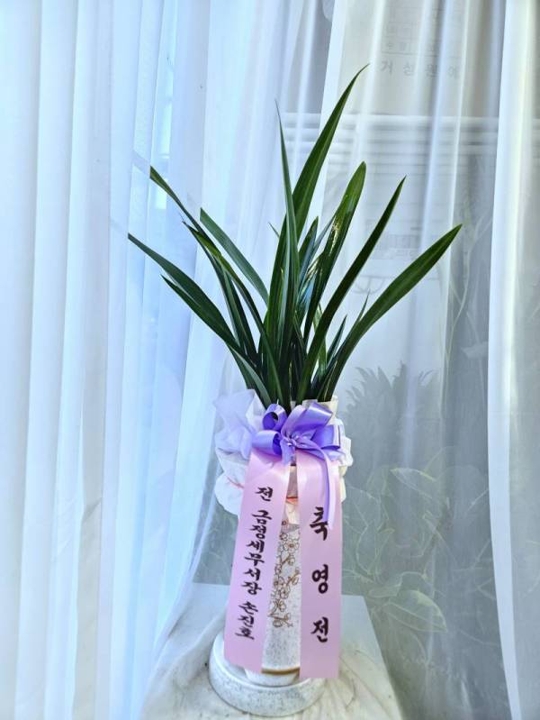 배송사진
