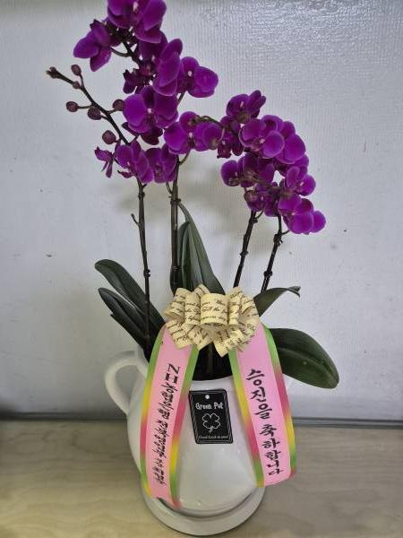 배송사진