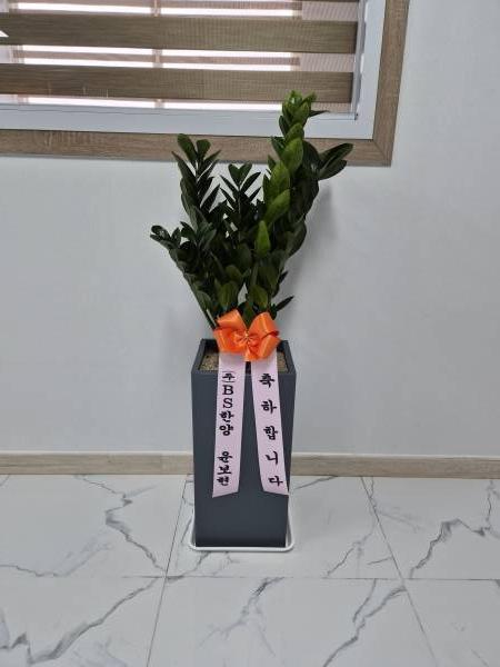 배송사진