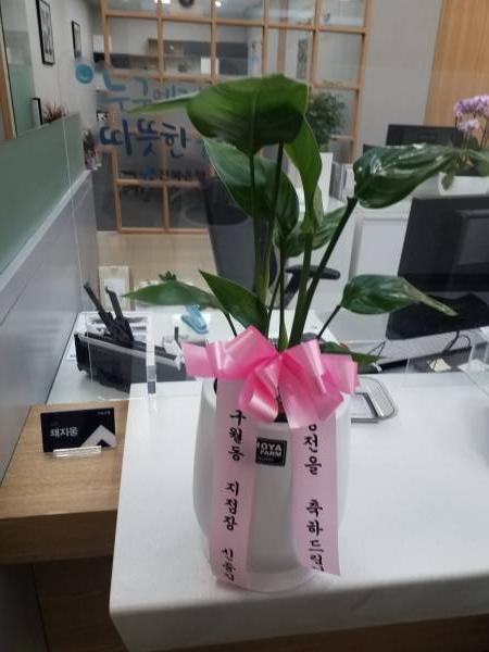 배송사진