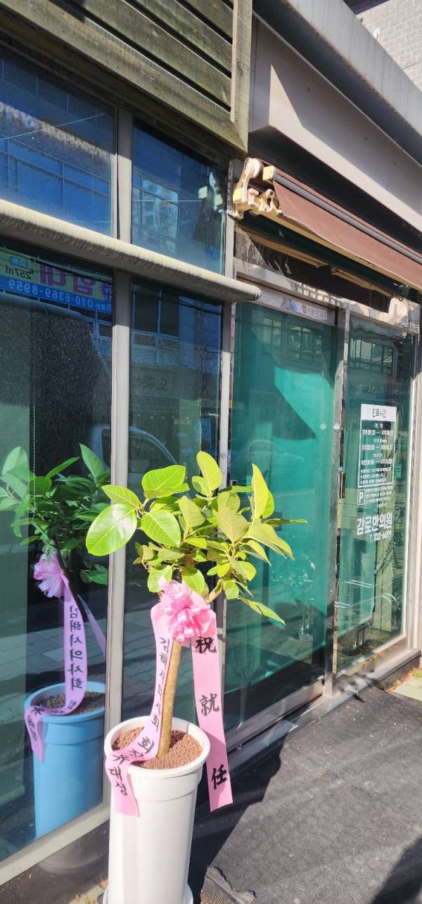 배송사진